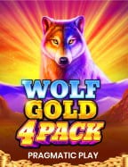 วิธีเล่น tiger slot 888pg บา คา ร่า สำหรับมือใหม่